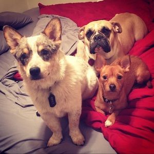 Meet your Posher, Tim